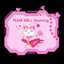 a pink frame with a cat on it and the words team meo gaming