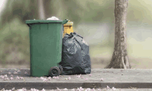 a green trash can with a yellow one next to it that says ' recycle ' on it