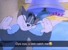 a cartoon cat says " oya oya u don catch me " in front of a lamp