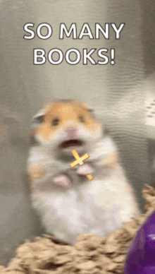 a hamster holding a cross with the words so many books behind it