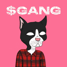 a cartoon cat holding a basketball with the word gang behind him