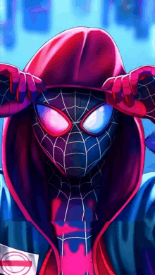 a spider-man wearing a red hoodie with a spider web on it