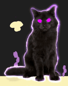 a black cat with pink eyes and a purple outline around it