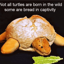 a picture of a turtle made out of bread next to a lettuce leaf