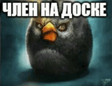 a picture of an angry bird with the words " chen ha docke " above it