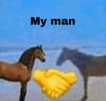 a picture of two horses shaking hands with the words my man below them