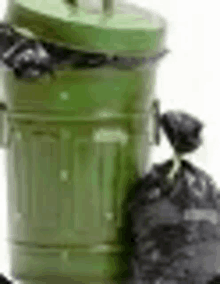 a green garbage can with a black bag next to it .