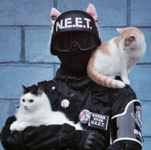 a person wearing a helmet that says n.e.e.t. is holding two cats