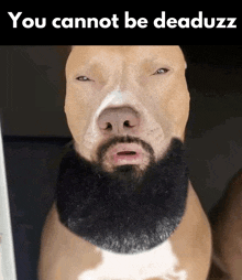 a dog with a beard and the words " you cannot be deaduzz "