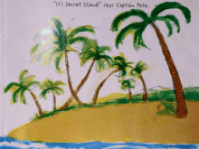 a drawing of palm trees on a beach with the words " it 's secret island " says captain pete