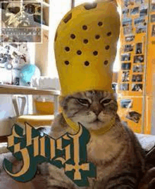 a cat wearing a yellow croc hat on its head .