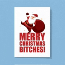 a christmas card that says merry christmas bitches .