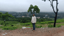 a man in a white shirt stands in a field with a tree in the foreground