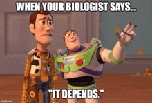 woody and buzz lightyear from toy story are standing next to each other with the caption " when your biologist says ... it depends "