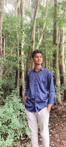 a young man in a blue shirt and white pants is standing in a forest