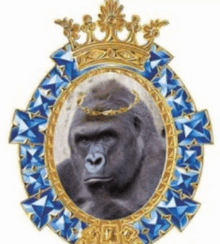 a picture of a gorilla wearing a crown and surrounded by blue crystals