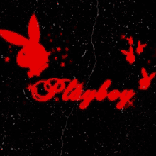 a red playboy bunny and the word playboy on a black background .