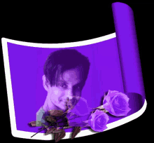 a picture of a man surrounded by purple roses on a purple background