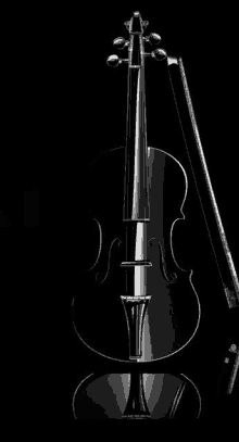 a black violin and bow on a black background