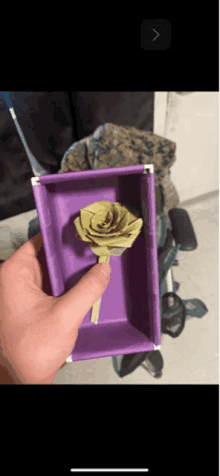 a person is holding a purple box with a green rose inside