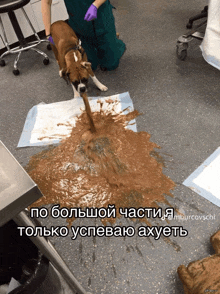 a picture of a dog with a caption that says " по большой части "