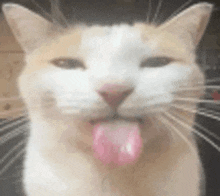 a close up of a cat 's face with its tongue out .