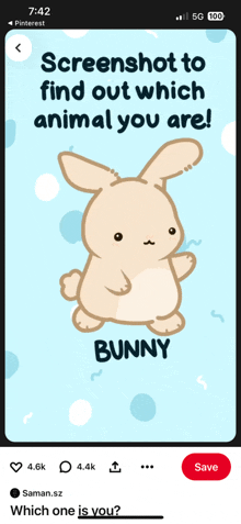 a screenshot of a bunny on pinterest