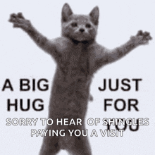 a cat with its arms outstretched says a big hug