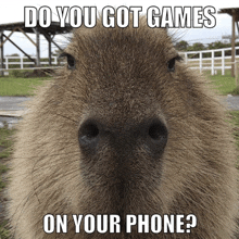 a picture of a capybara with the caption " do you got games on your phone ? "