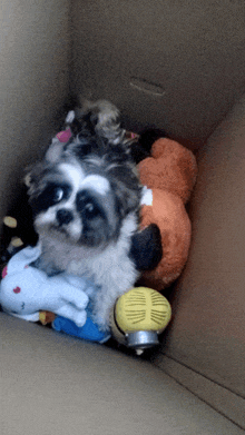 a small dog is laying in a cardboard box with stuffed animals