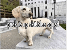 a picture of a dog with the words pack it up skittles squad on it