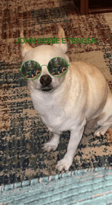 a dog wearing sunglasses with the words john deere e tengen above it