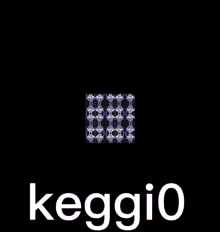 a picture of a raccoon with the word keggio written below it