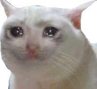 a close up of a white cat 's face with tears in its eyes