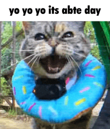 a cat is holding a blue doughnut around its neck and the caption says yo yo yo its abte day