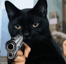 a black cat is pointing a gun at the camera with imgflip.com at the bottom