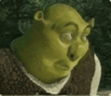 shrek from shrek is making a funny face while looking at the camera .