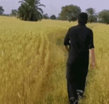 a man in a black shirt and black pants is walking through a field of tall grass .