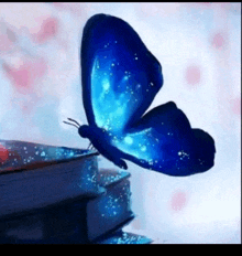 a blue butterfly is sitting on top of a pile of books .