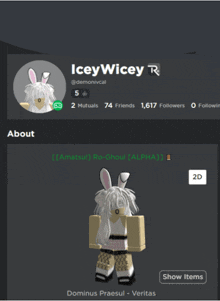 a screenshot of icey wicey 's profile on a website