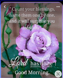 a good morning message with a purple rose and the words count your blessings