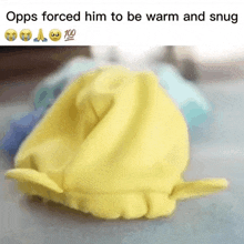 a yellow blanket is laying on a table with a caption that says opps forced him to be warm and snug