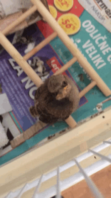 a bird perched on a ladder next to a newspaper that says ' odlucne veliki ' on it