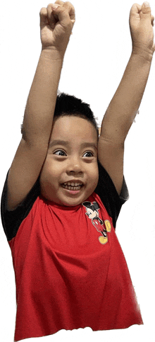 a young boy wearing a red mickey mouse shirt holds his arms in the air