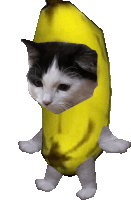 a black and white cat is standing in a banana costume