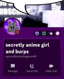 a screenshot of a person 's profile with the words secretly anime girl and burps