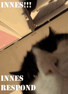 a black and white cat with the words " innes respond " on the bottom