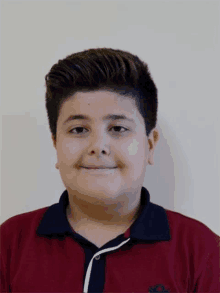 a young boy wearing a red shirt and a blue and white shirt is smiling for the camera .