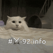 a white cat is laying on a bed with the words # x-92-info written below it