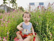 a baby sitting in a field of flowers with a sign that says home